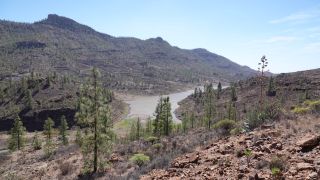 2022-03-GranCan-Presa_Chira-Trekking-PM-NN-40.JPG